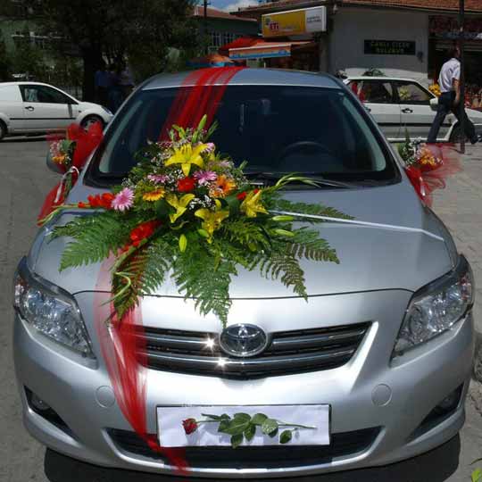 Groom Car Corolla